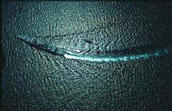 Wrinkled sea with destroyer