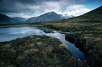 Cairngorms - UK 05