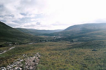 Cairngorms - 05