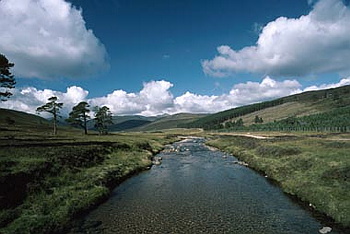 Cairngorms - 01