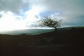 Exmoor - 075