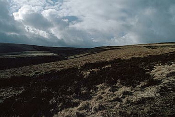 Exmoor - 037