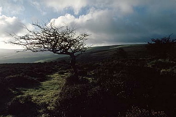 Exmoor - 044