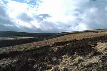 Exmoor - 013