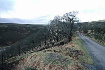 Exmoor - 003