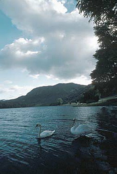Lake District - 022