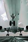 Photography of Airbus A320 landing on camera
