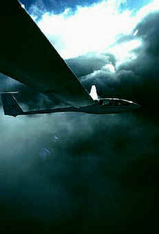 A.S.H. 25