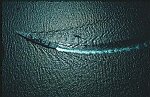 Photography of wrinkled sea with destroyer