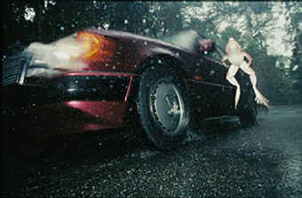 Frog with Mercedes