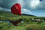 Photography of hot air balloon landing