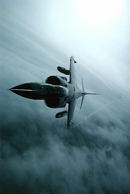 Sea Harrier with streamers.