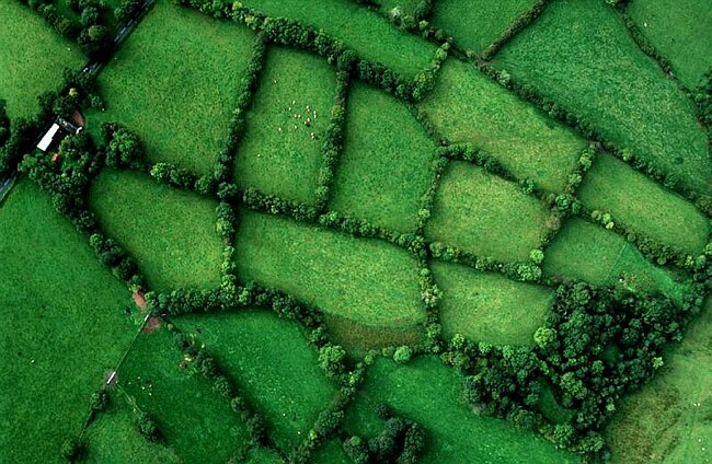 Smallholding in Northern Ireland.