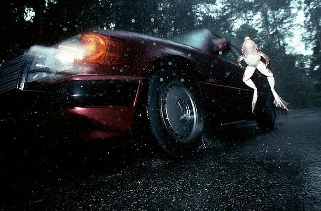 Avon tyres frog jump stop