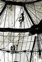 The flying trapeze