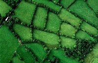 Small green fields of a smallholding in Northern Ireland for postage stamp.