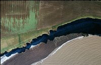 The North Devon coast in winter with crops starting to grow.