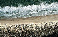 Aerial view of Studland Bay.