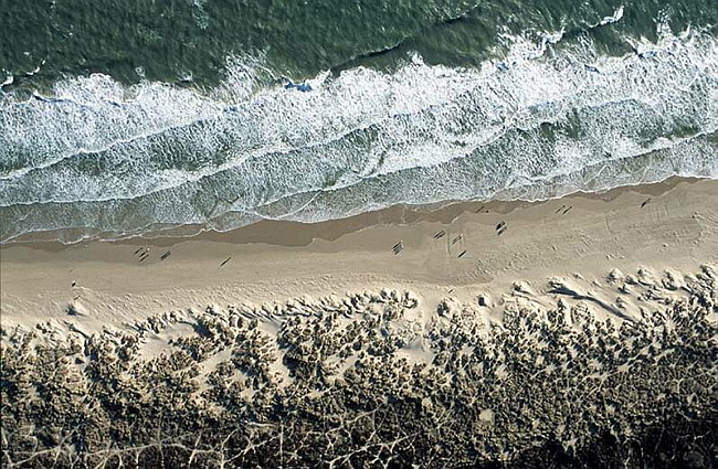 Studland Bay, Dorset.jpg